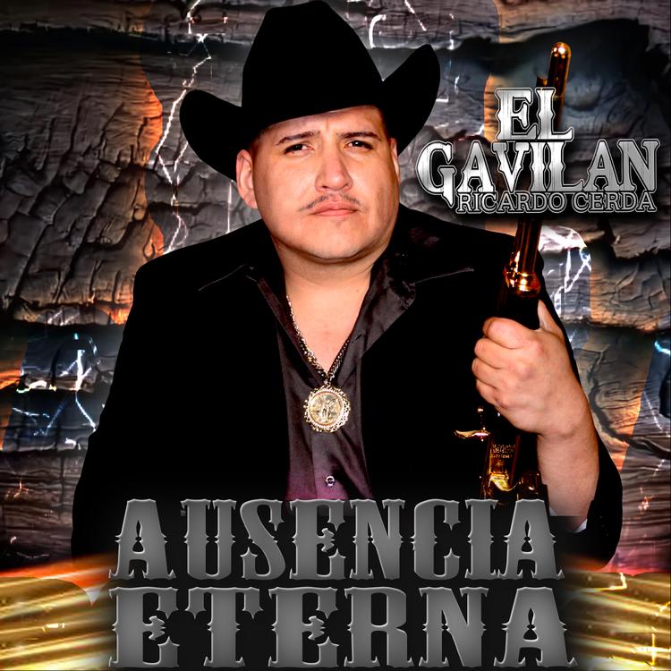 Ricardo Cerda "El Gavilán"'s avatar image