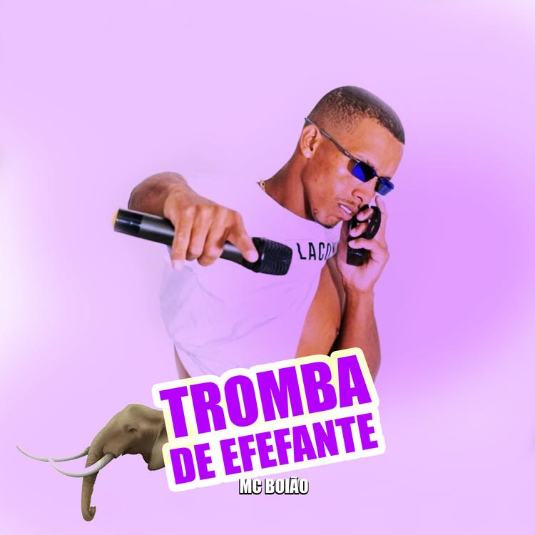 MC BOIÃO's avatar image