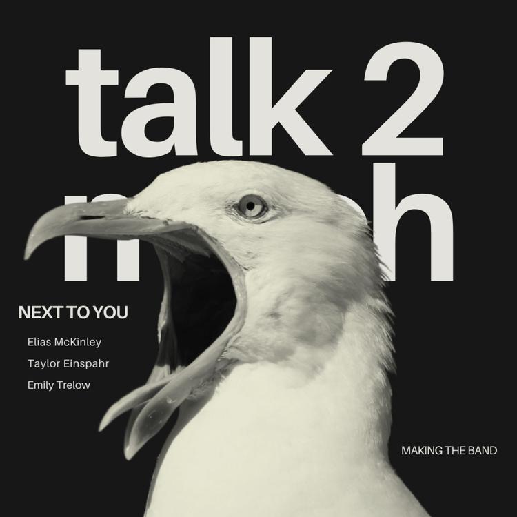 Talk Too Much's avatar image