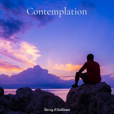 Contemplation By Barry O'sullivan's cover