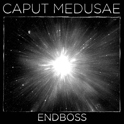 Endboss's cover
