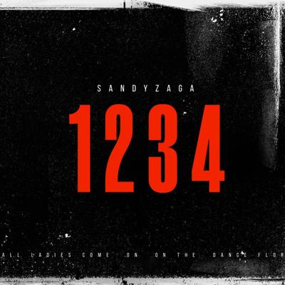 1234 (Radio Edit) By Sandy Zaga, Wulshe's cover