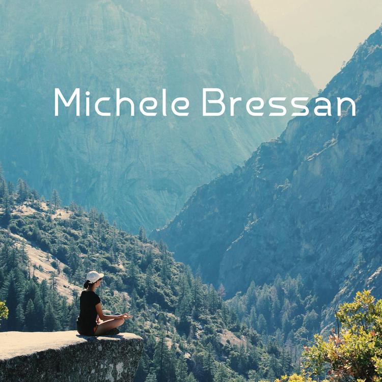 Michele Bressan's avatar image