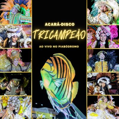 Peixe Ornamental Acará-Disco's cover