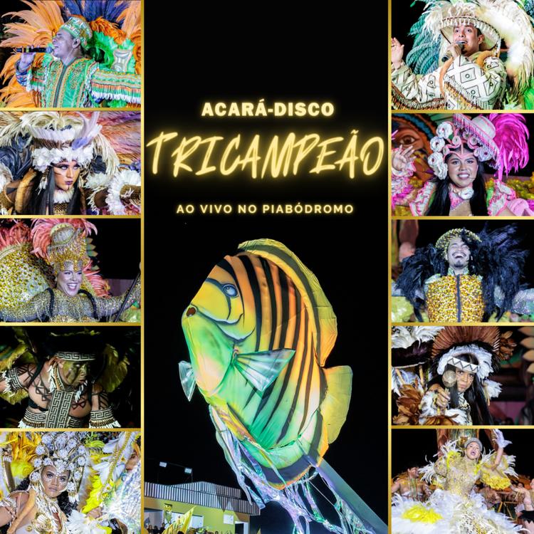 Peixe Ornamental Acará-Disco's avatar image