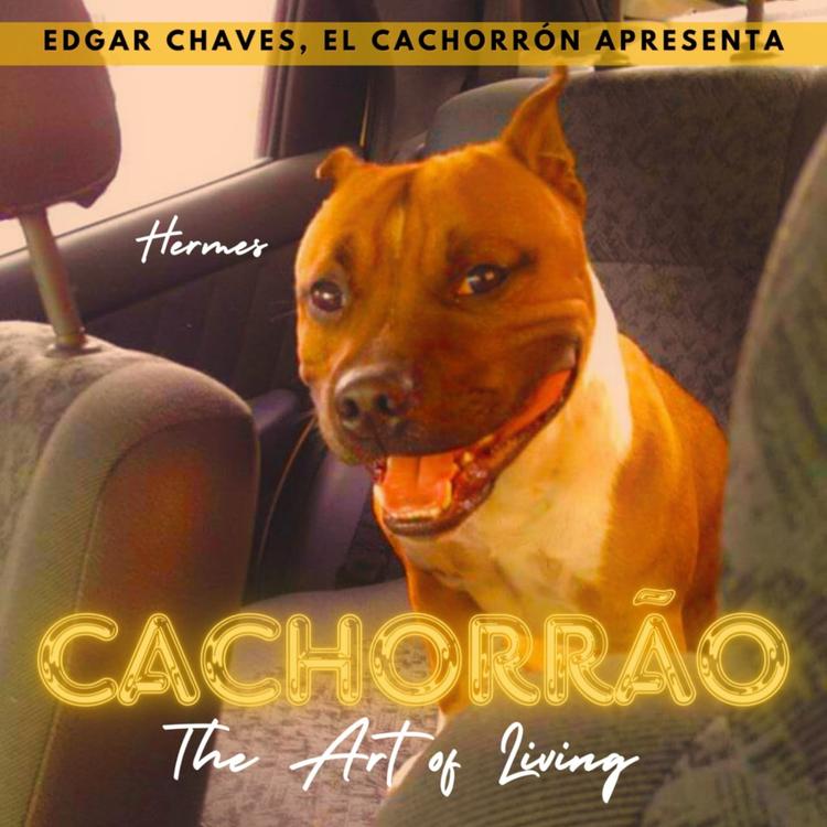 Edgar Chaves's avatar image