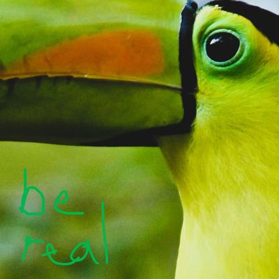 be real (I seem real)'s cover