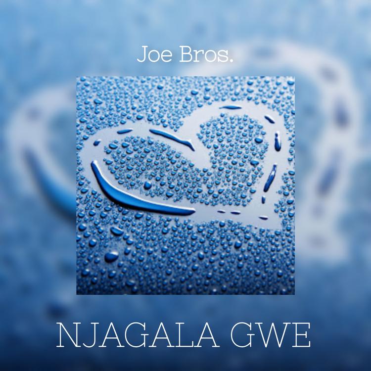 Joe Bros Music's avatar image