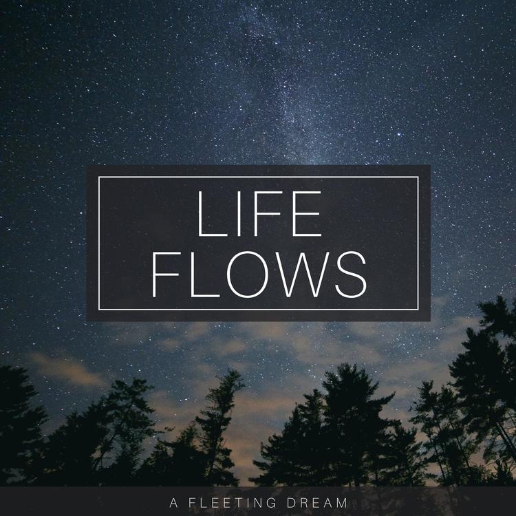 Life Flows's avatar image