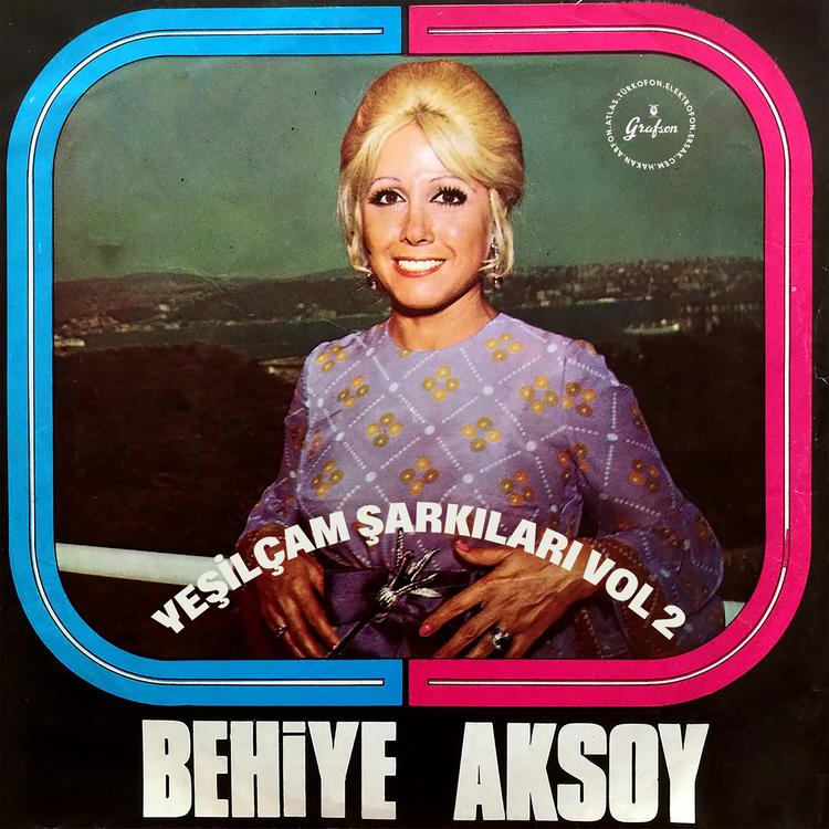 Behiye Aksoy's avatar image