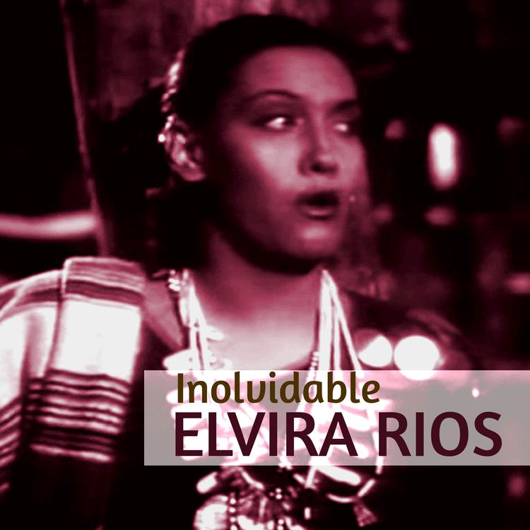 Elvira Rios's avatar image