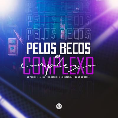 Pelos Becos do Complexo By MC Fabinho da OSK, Mc Gordinho do Catarina, DJ NT DA SERRA's cover