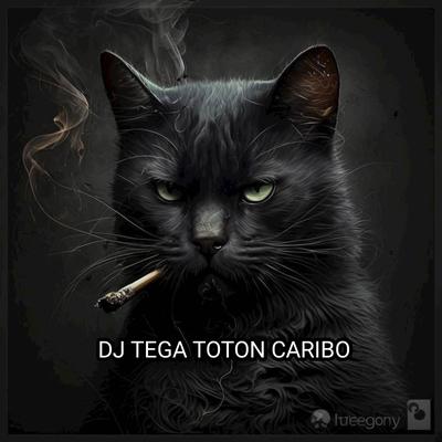 DJ TEGA TOTON CARIBO's cover