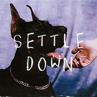 Settle Down By Bruvvy's cover