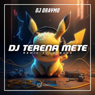 DJ Terena Mete Slow Bass's cover