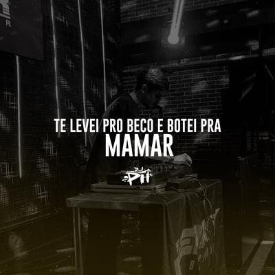 Te Levei Pro Beco E Botei Pra Mamar By DJ Ph De Vila Velha, Funk SÉRIE GOLD's cover