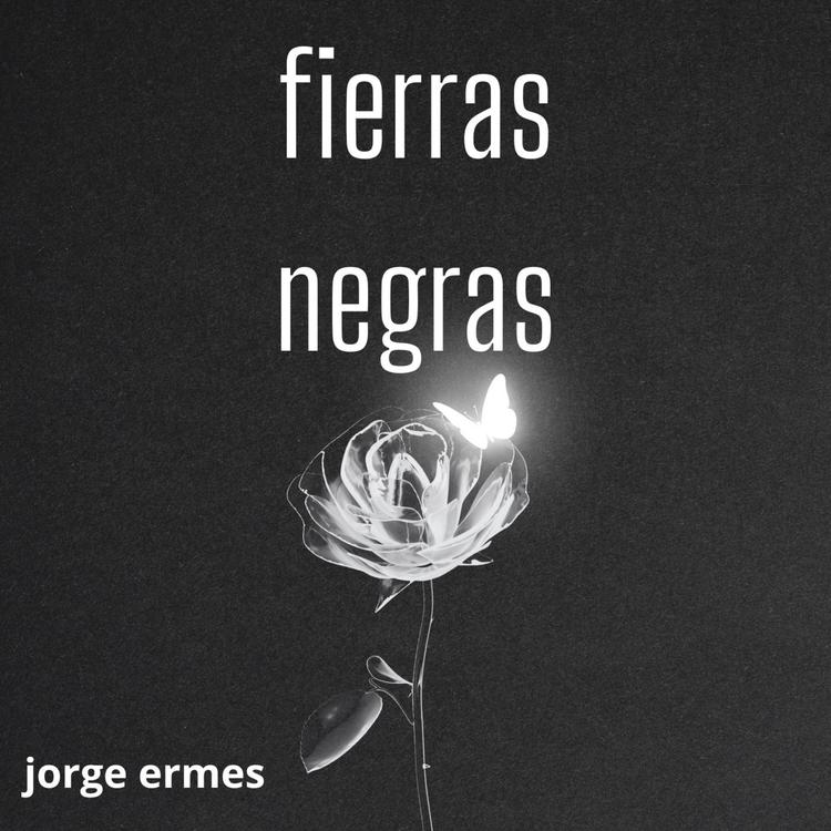 jorge ermes's avatar image