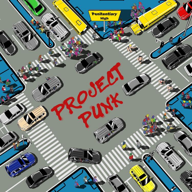 Project Punk's avatar image