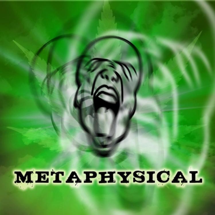 METAPHYSICAL's avatar image