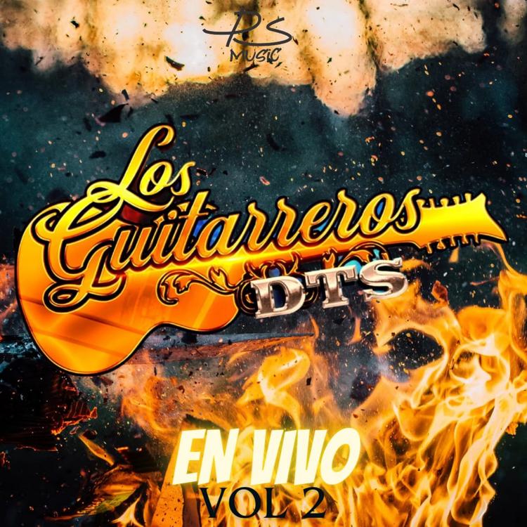 Los Guitarreros dts's avatar image