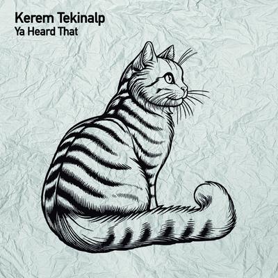 Kerem Tekinalp's cover