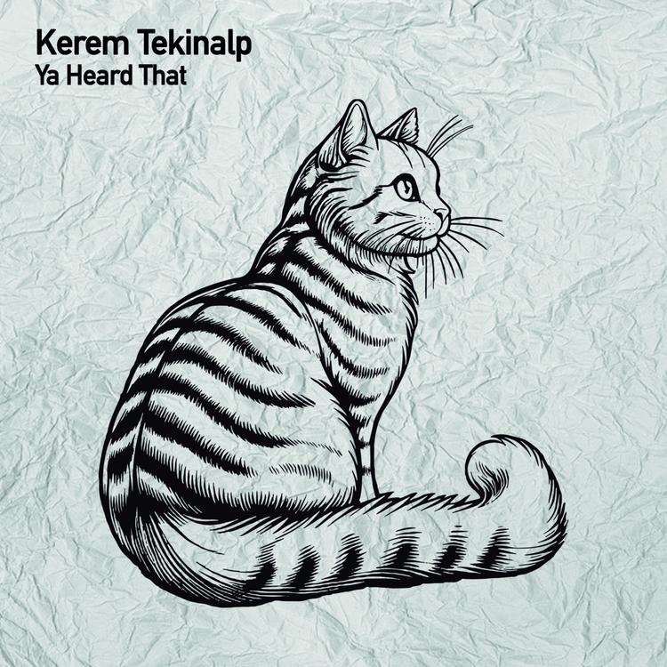 Kerem Tekinalp's avatar image