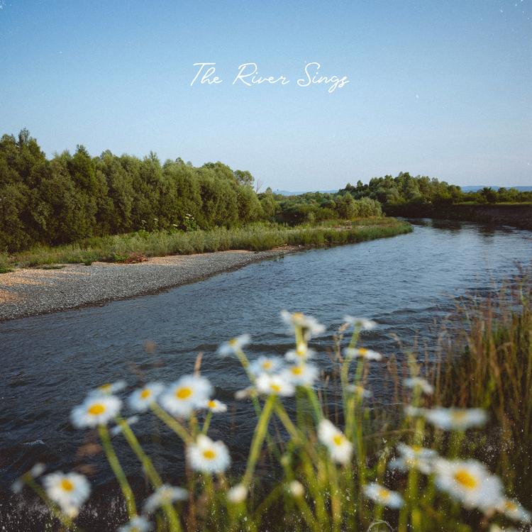The River Sings's avatar image