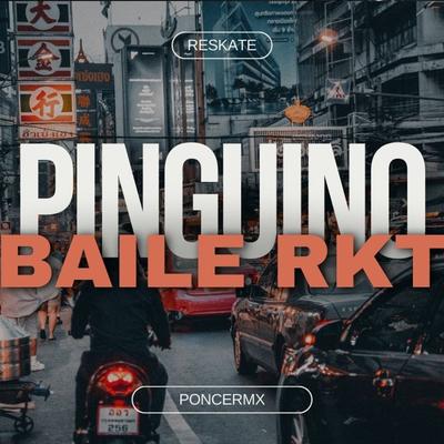 BAILE DEL PINGUINO (Remix)'s cover