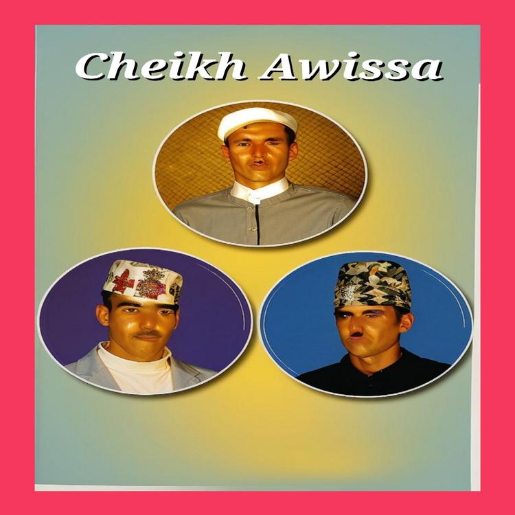 Cheikh Awissa's avatar image