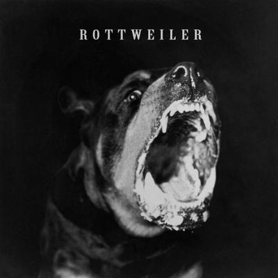 Real Watts Baby ROTTWEILER Jersey Club's cover