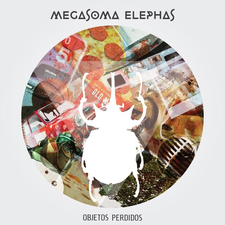 Megasoma Elephas's avatar image