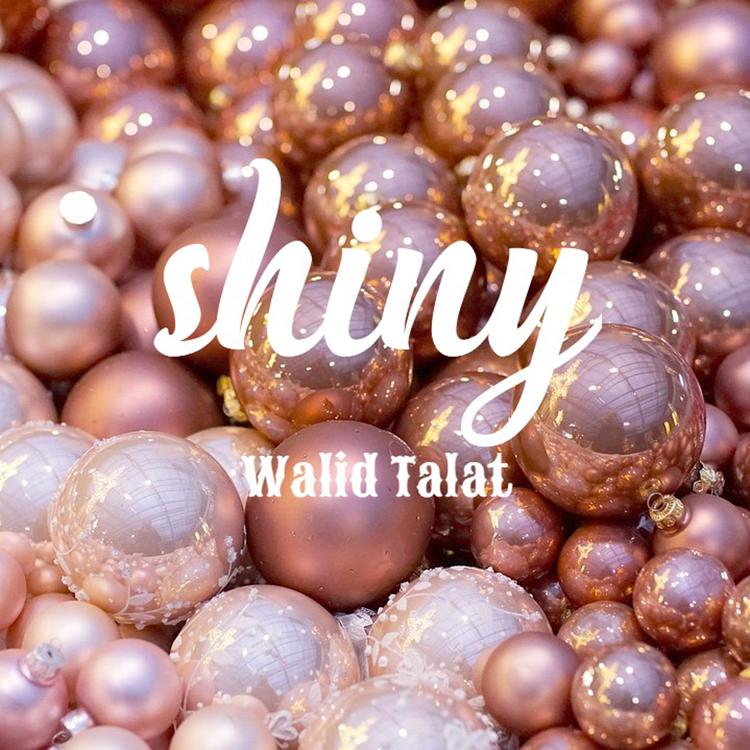Walid Talat's avatar image