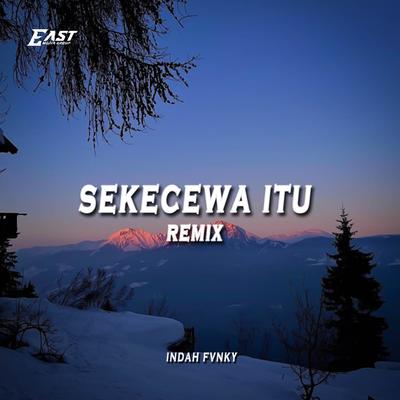 DJ SEKECEWA ITU (REMIX)'s cover