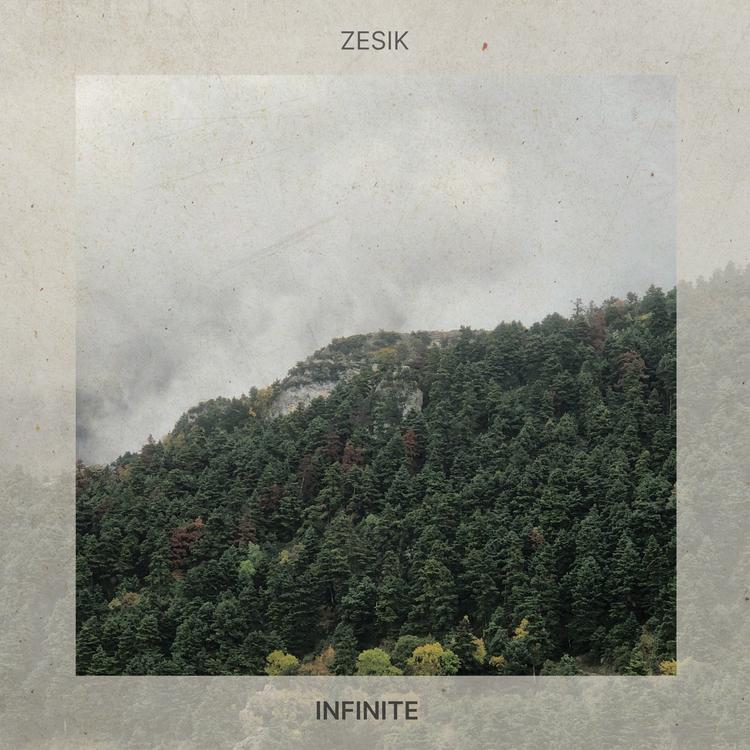 Zesik's avatar image