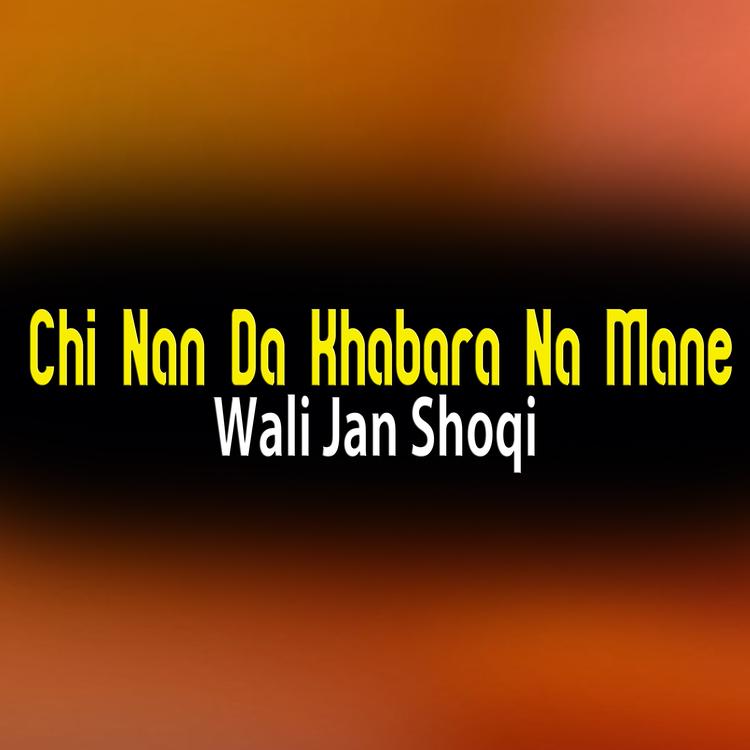 Wali Jan Shoqi's avatar image