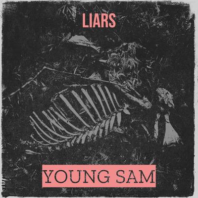 Liars's cover