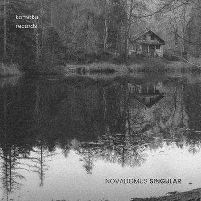 Singular By Novadomus's cover