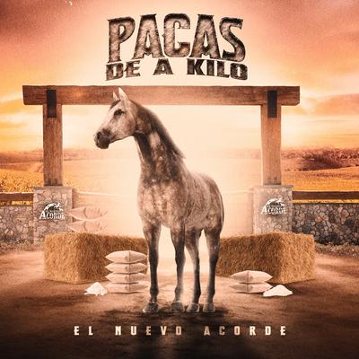 Pacas De A Kilo's cover