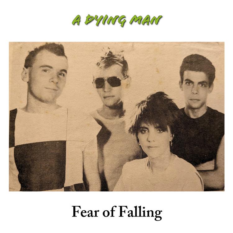 Fear Of Falling's avatar image