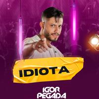 Igor Pegada's avatar cover