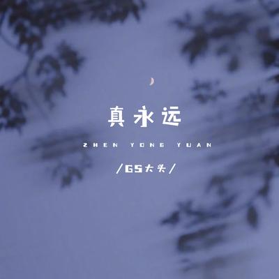 真永远 (Dj光波版)'s cover