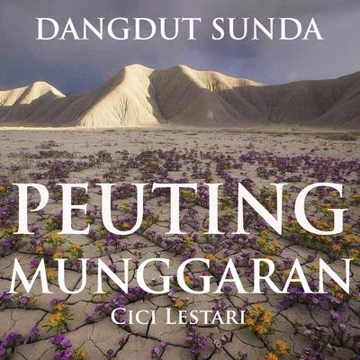 Dangdut Sunda Peuting Munggaran's cover