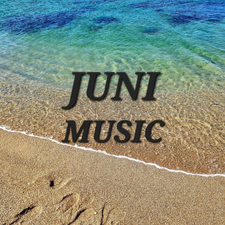 Juni Music's avatar image