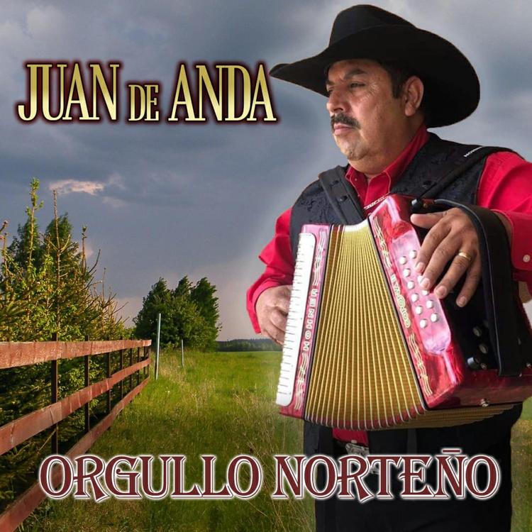 Juan de Anda's avatar image