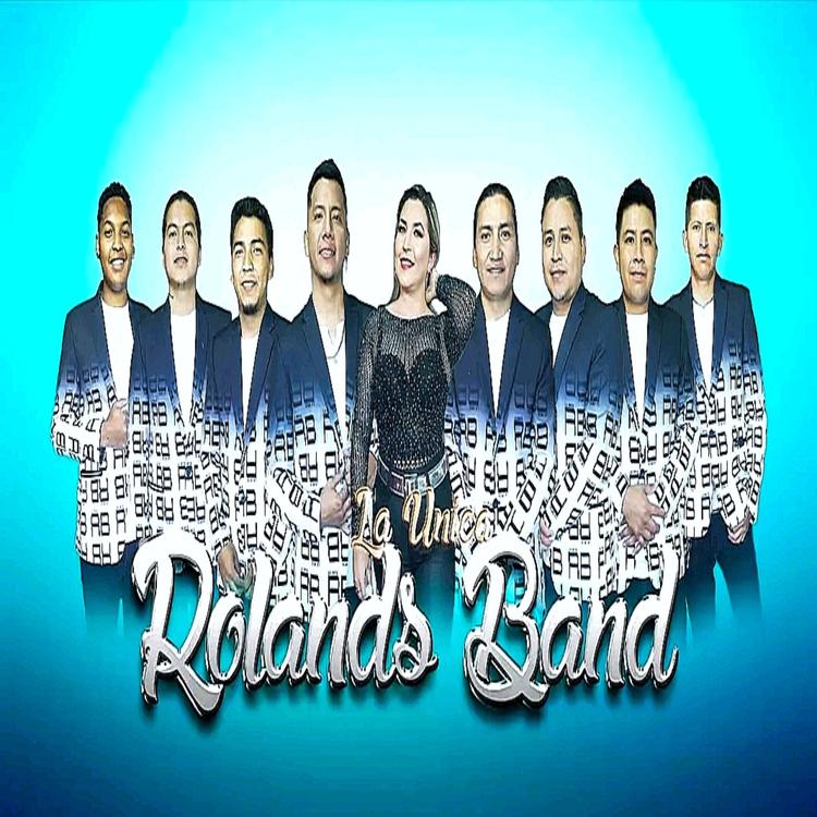 ROLANDS BAND's avatar image