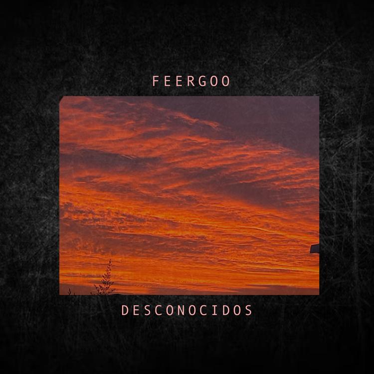 Feergoo's avatar image