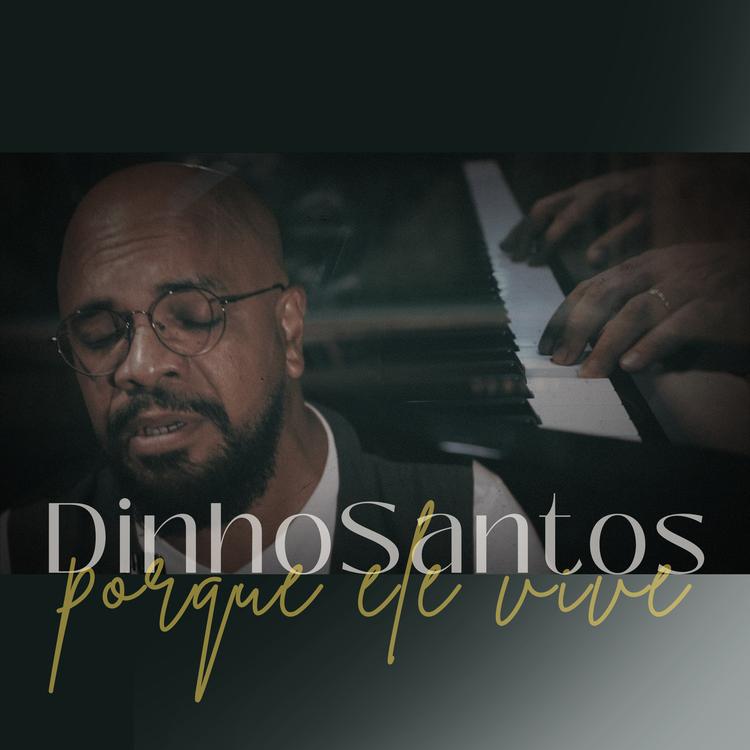 Dinho Santos's avatar image