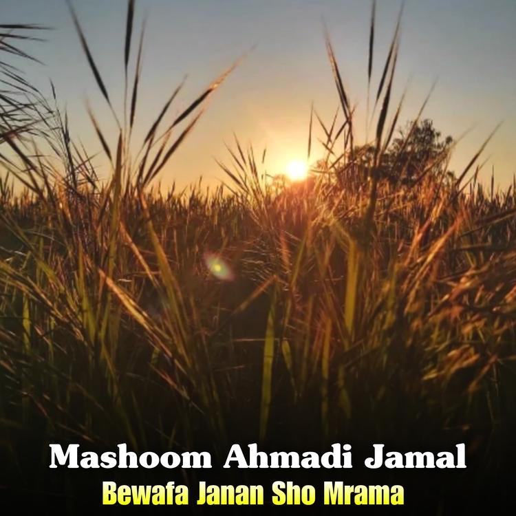 Mashoom Ahmadi Jamal's avatar image