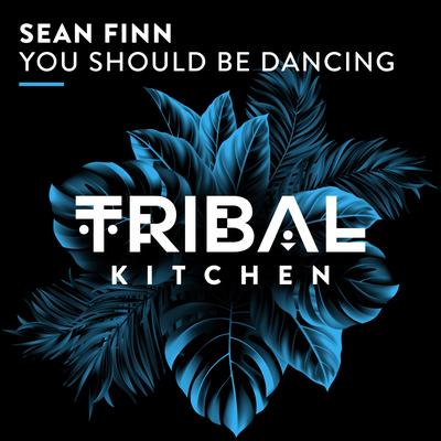 You Should Be Dancing By Sean Finn's cover