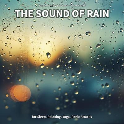 Perfect Background Rain Sounds's cover